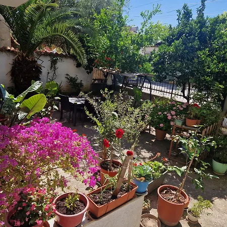 Daire Garden